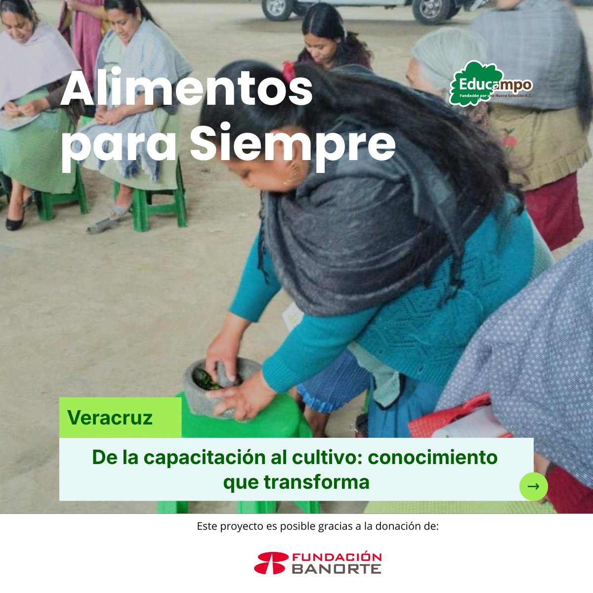 Educampo MX tweet media