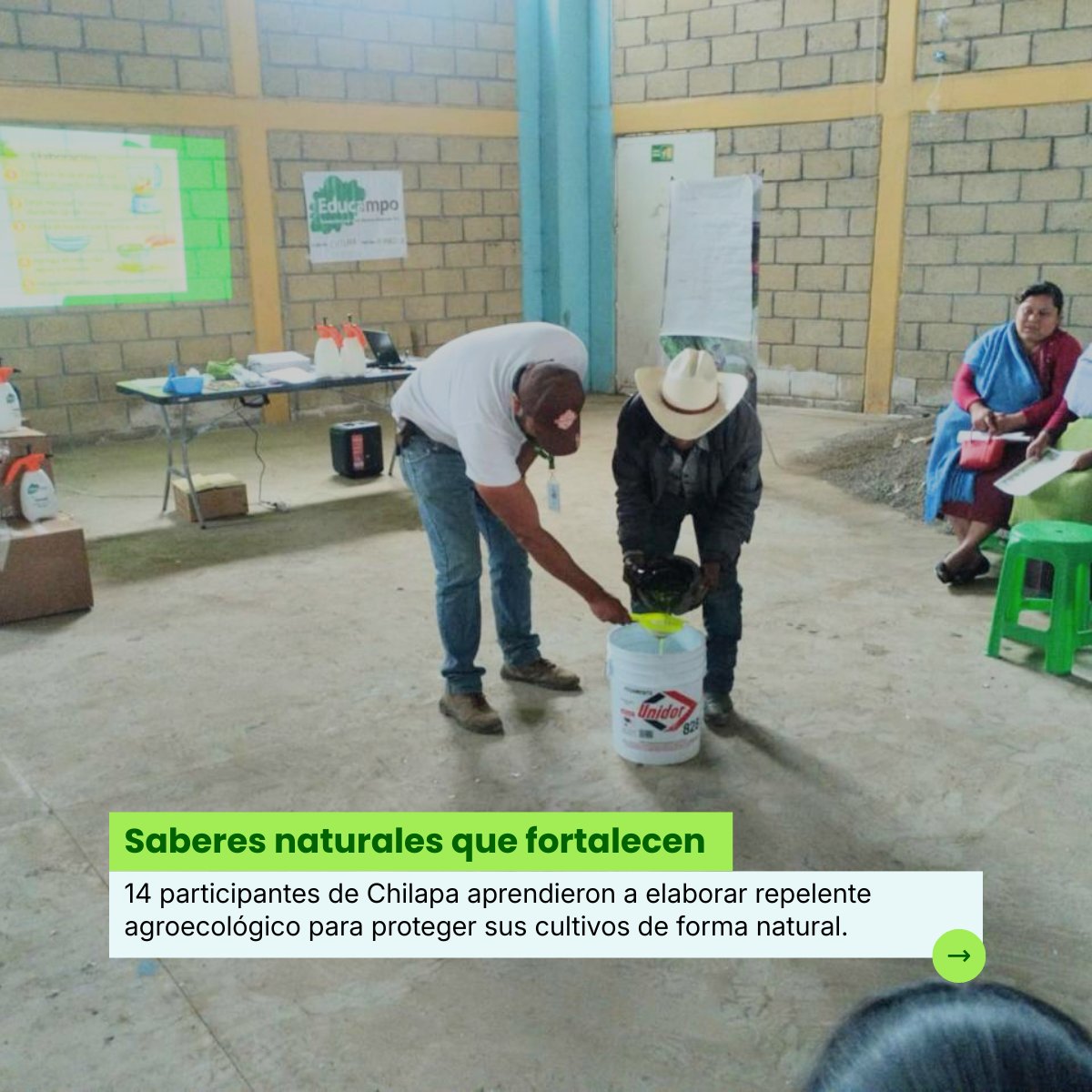 Educampo MX tweet media