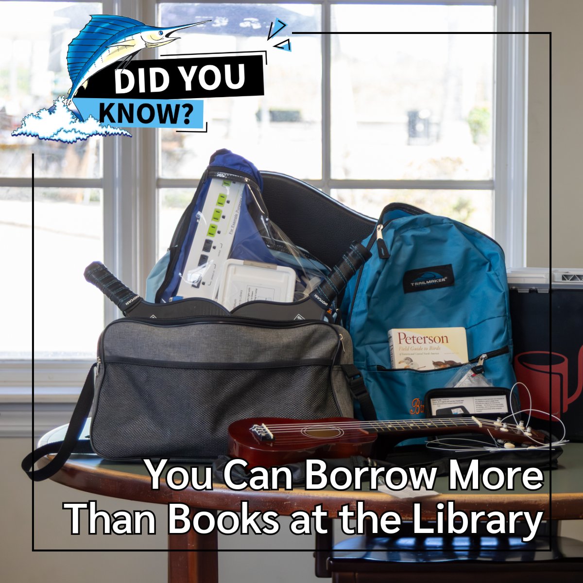 StLucieGOV's tweet image. Did you know the St. Lucie County Library lends more than books? Try bird watching, disc golf backpacks, energy-saving kits, and WiFi Hotspots! Learn more: ow.ly/cg2350YSZ8l #StLucieCounty #Library #LOT