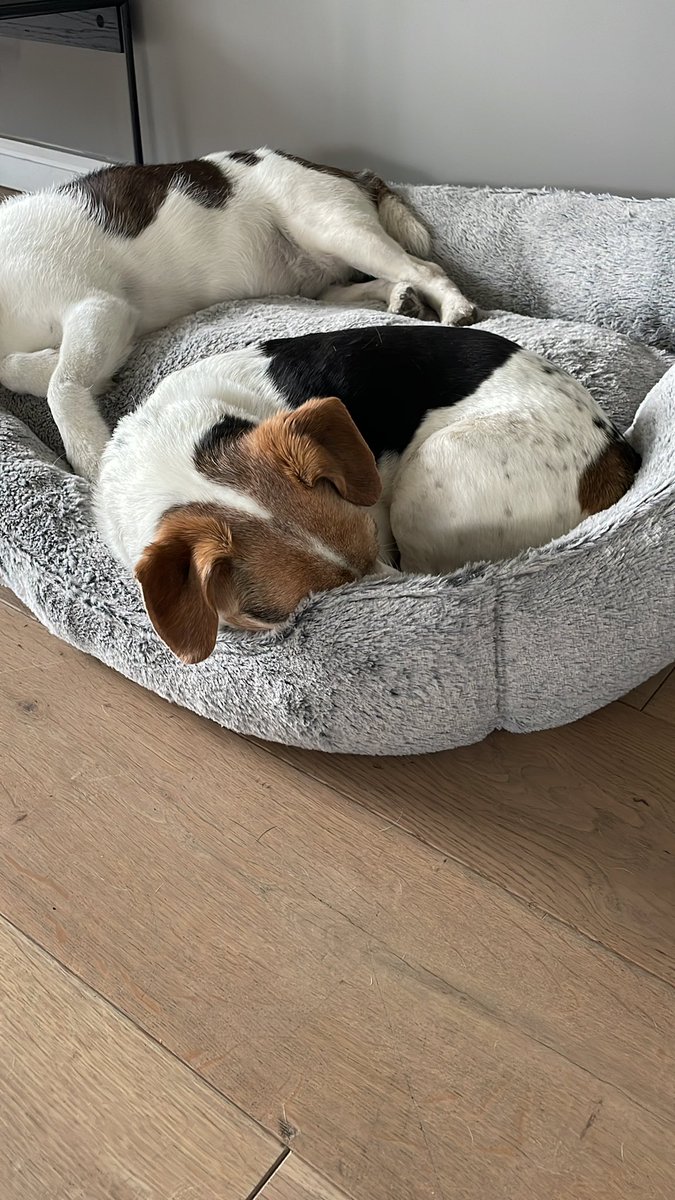 MrsEmmaWebber's tweet image. Today is my birthday.

It’s the first I’ve ever spent on my own, and the the third without my beautiful boy being here. 

I’m ok. Or as ok as I think I could be. I suppose.

It feels kind of appropriate to have a day of enforced quiet and reflection. I have read (lots) and tuned