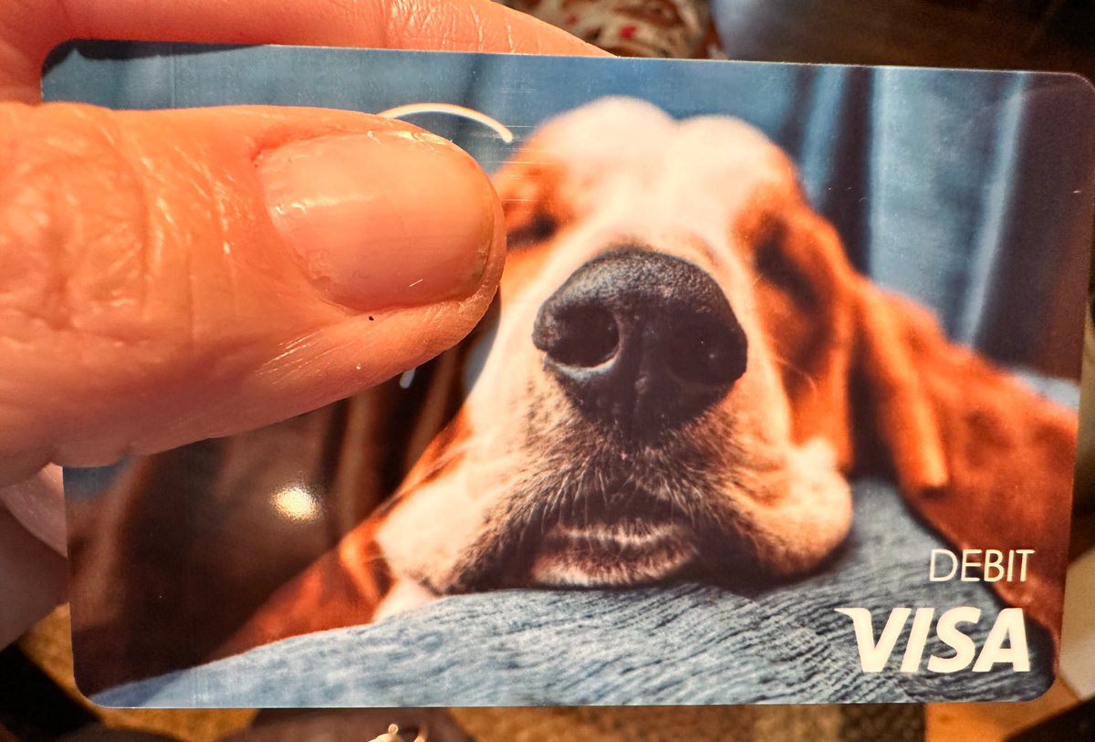 Mockler Bassets tweet media