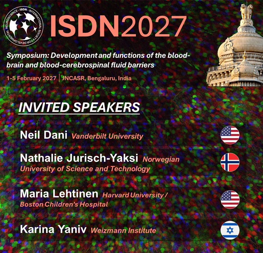 ISDNConference's tweet photo. 📢 Announcing the #ISDN2027 invited speakers in the symposium on the #development of the #blood-#brain and blood-#CSF barriers.

Neil Dani - @VanderbiltU
@NathalieJuYa - @NTNU
Maria Lehtinen - @harvardmed/@BostonChildrens 
@KarinaYaniv - @WeizmannScience https://t.co/aEfOhHi0gL