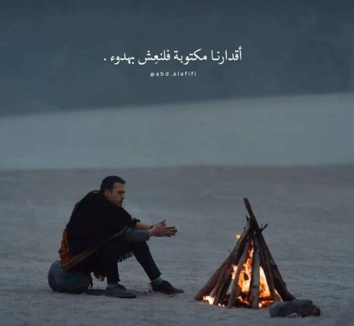 ترياق 🕊️ tweet media