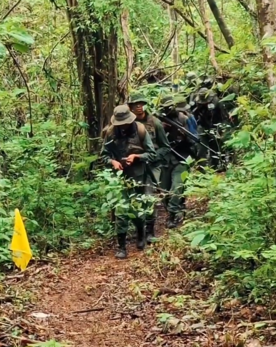 Armas de Conflicto - América Latina tweet media