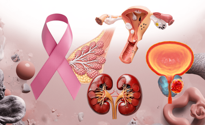 BIDMC Pathology tweet media