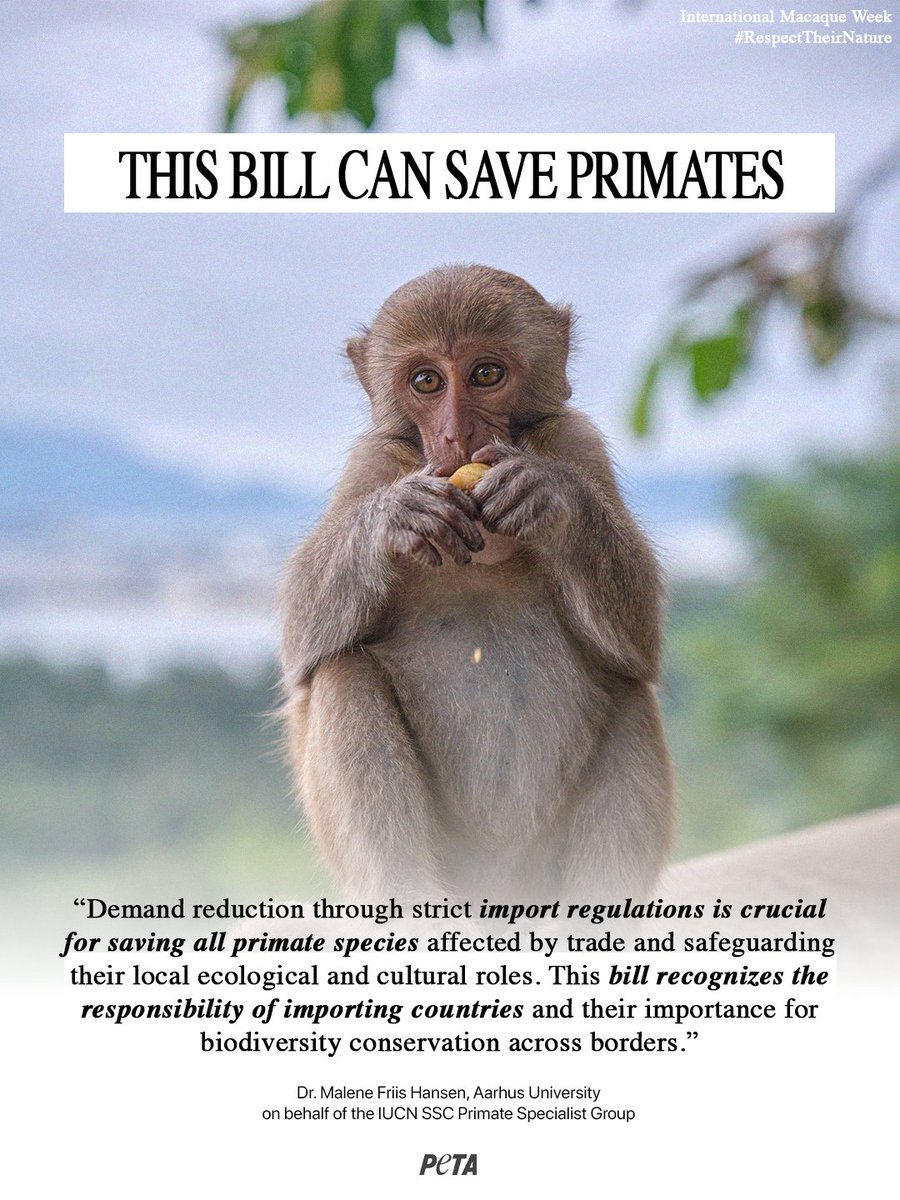 PETA tweet media