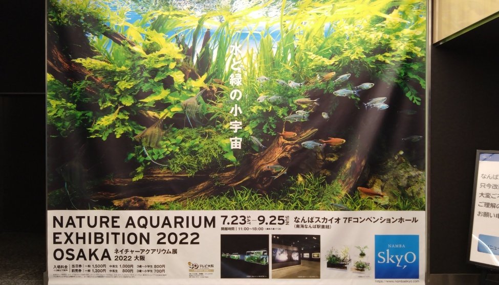 T-BOX @AQUARIUM🐟🐠🦐🌿 tweet media