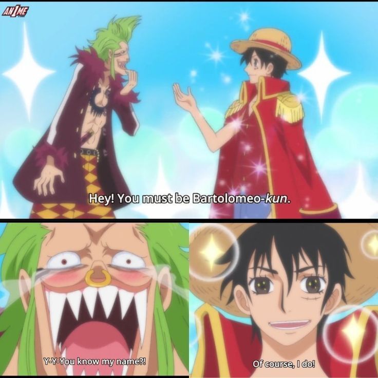 One Piece Daily tweet media