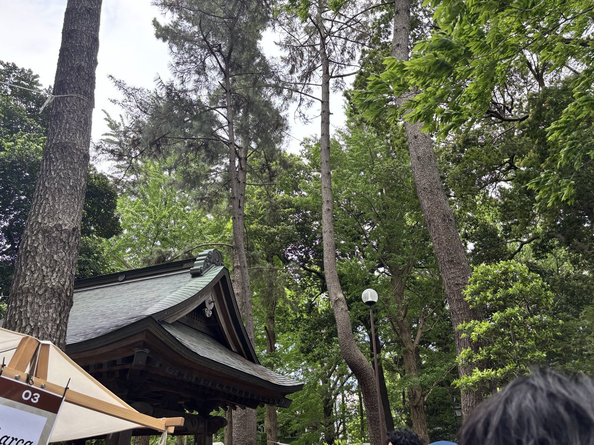 リーマンの小毒 tweet media