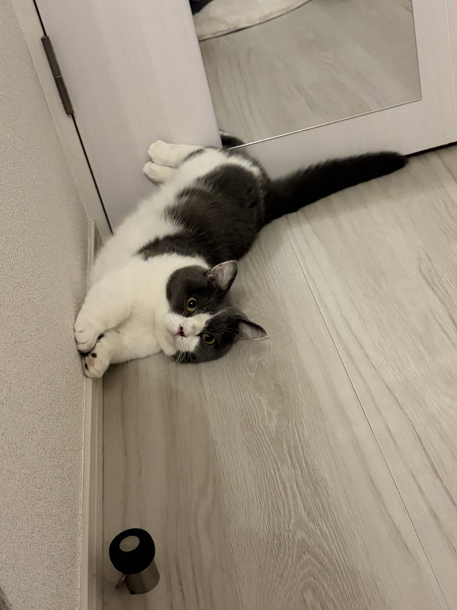 choco_channel_'s tweet photo. https://t.co/LPozaagMxx