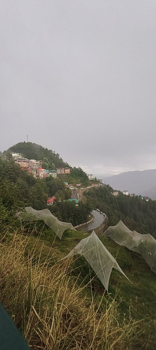 Amtthakur's tweet image. Winters are back in hills🥶...
It's damn cold over here... Jackets/garam kapde fir nikal gye

#mondaymood #shimla #WinterWonderland
