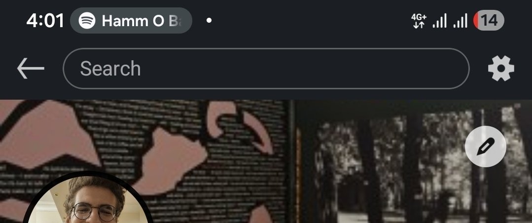 mitski vinyl is now my linkedin cover photo as a way to oppose capitalism