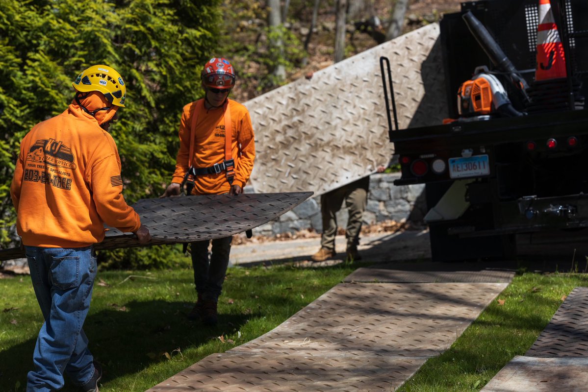 K&J Tree Service tweet media