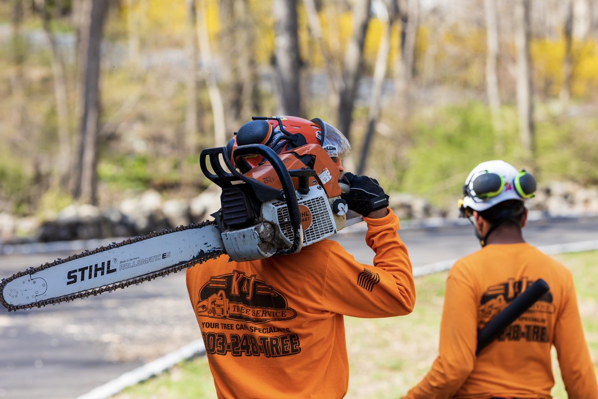 K&J Tree Service tweet media