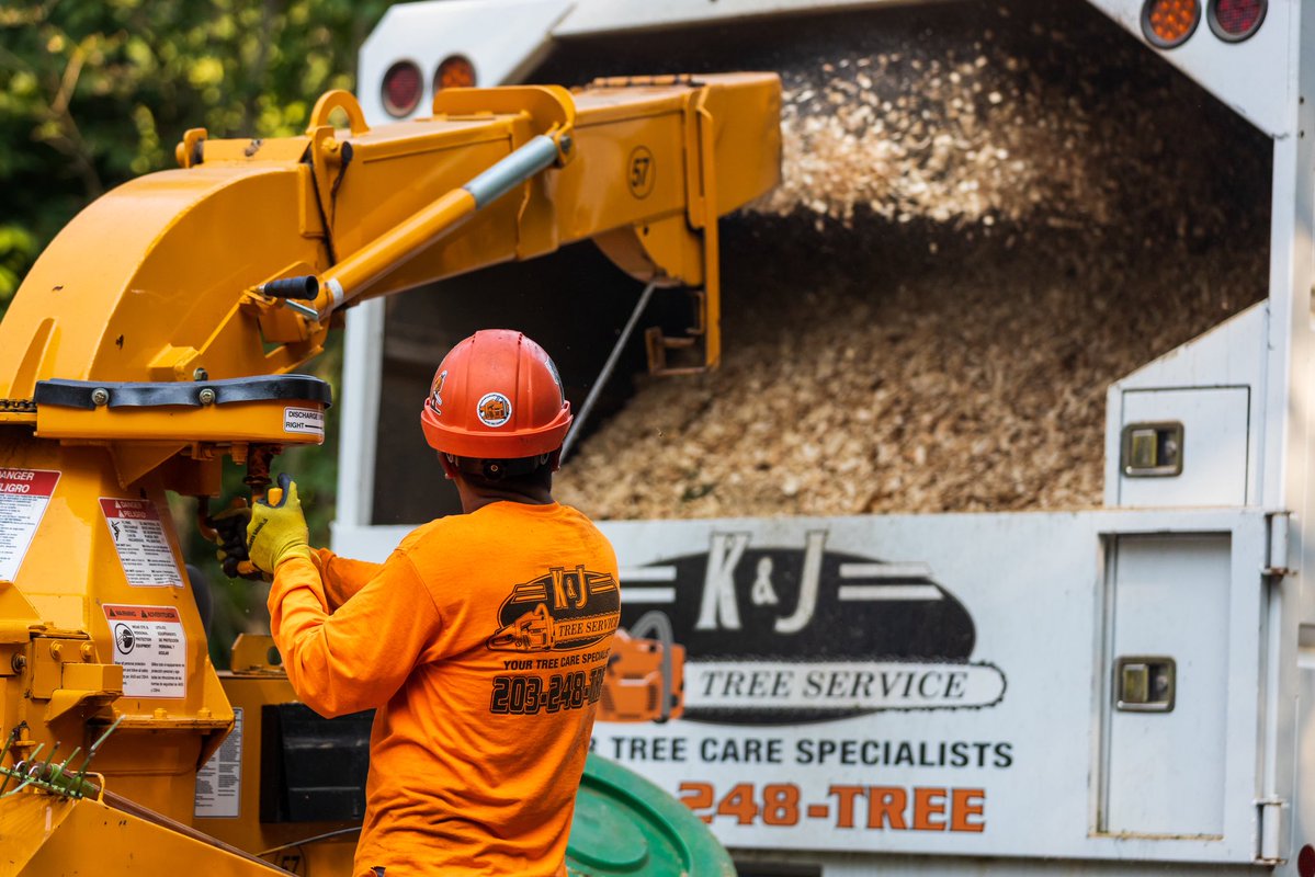 K&J Tree Service tweet media