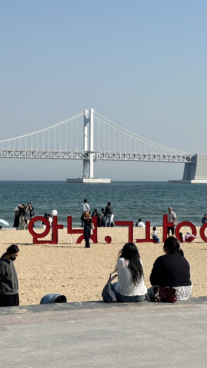햄이베 tweet media