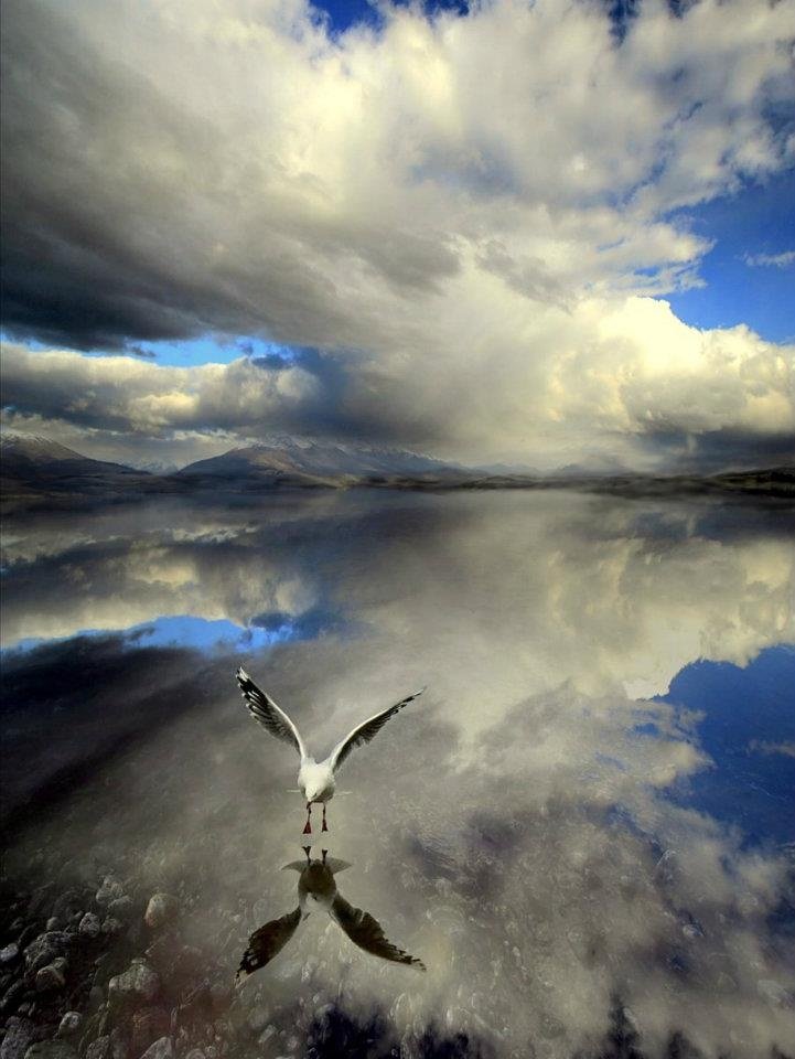 LUVIORIA's tweet image. Some opportunities don’t knock on the door; they quietly appear in the path of those who are ready. The point is not to wait, but to recognize them when they do 🕊️✨.

#mondayvibes #life
#Goodevening #love