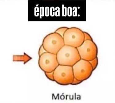 os ônibus mais atrasam quando preciso chegar cedo