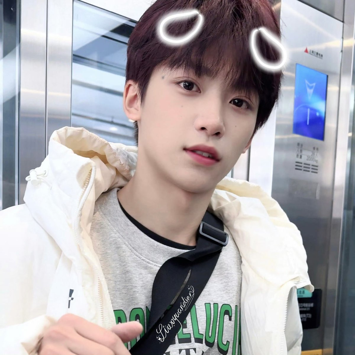 녕⚡️🐟 tweet media