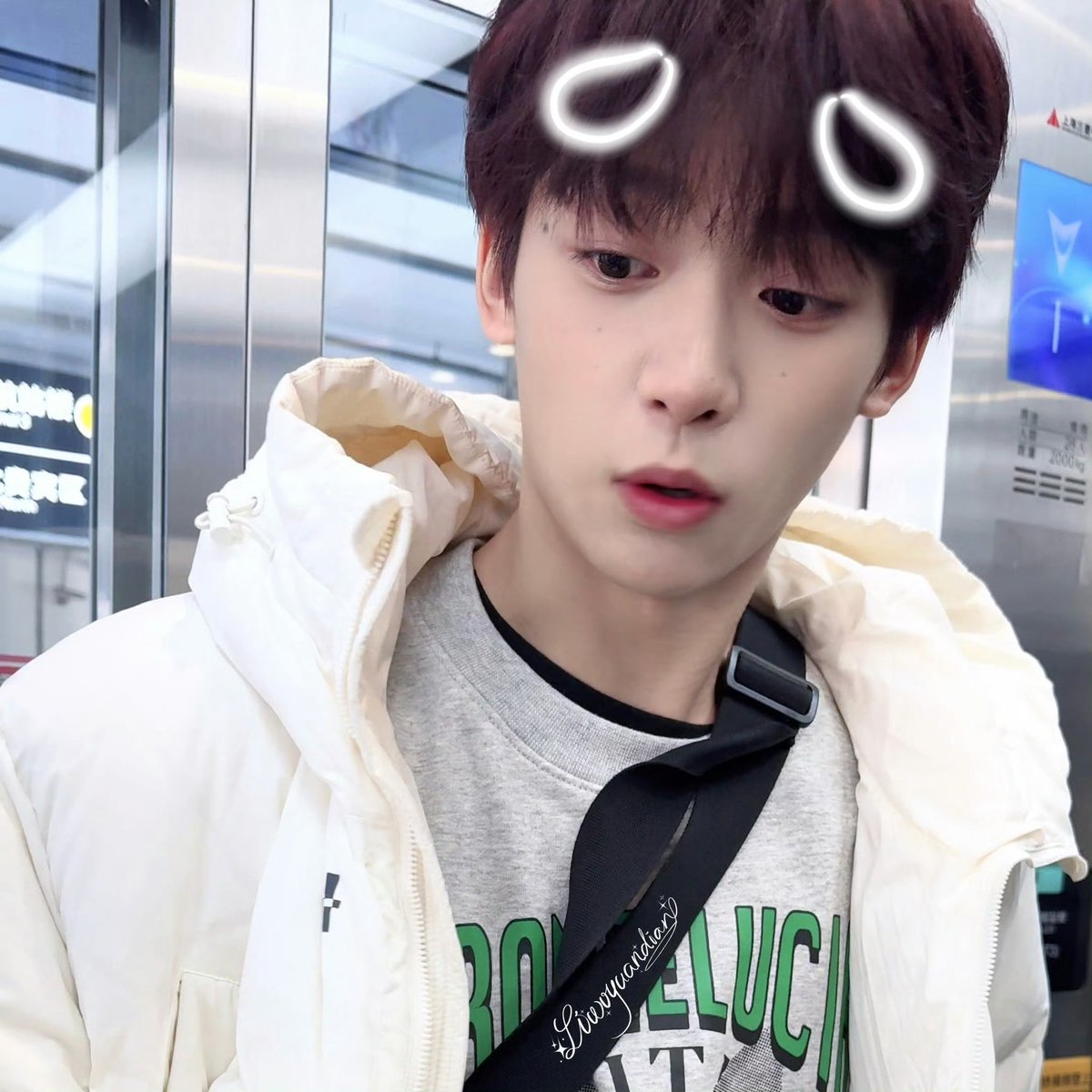녕⚡️🐟 tweet media