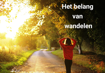 multiraedt's tweet photo. Het belang van wandelen

https://t.co/0Bz95JWEiw https://t.co/IS5aKjGi49