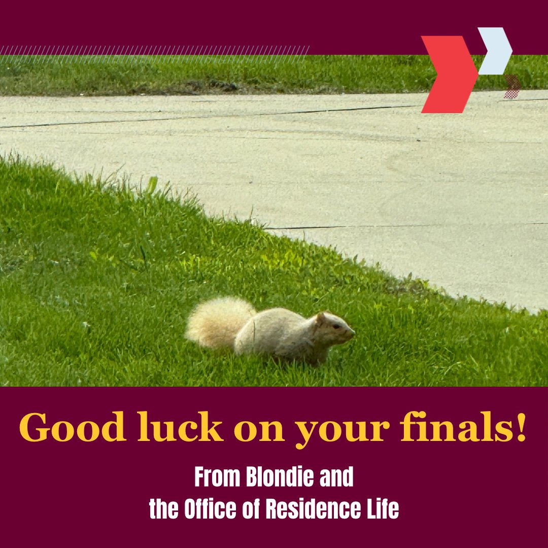 ResLifeCMU's tweet photo. Blondie and all of us in the Office of Residence Life want to wish you good luck on your finals! https://t.co/6ta1oWntKK