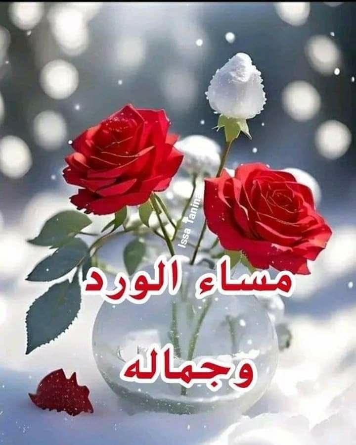 Abu_Aboudi tweet media