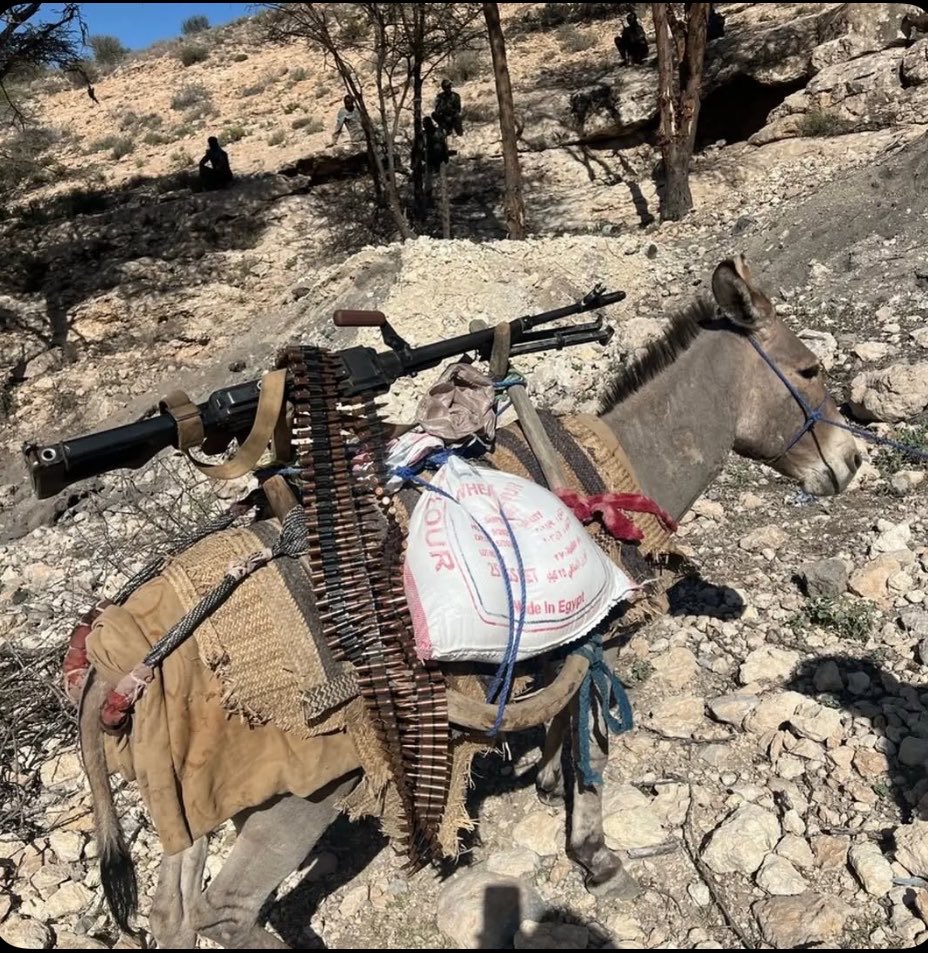 WeaponsVault's tweet photo. Donkey mount goes hard 🔥 https://t.co/u6dLEAtssP