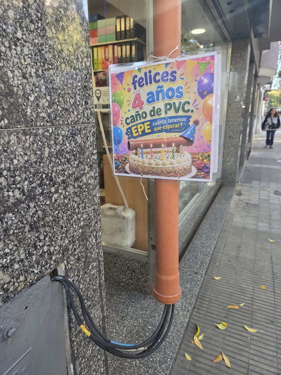 sofía tweet media