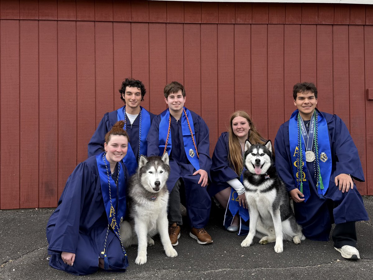 Jonathan the Husky tweet media