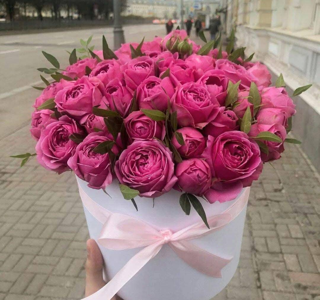 اميره حلبيه tweet media