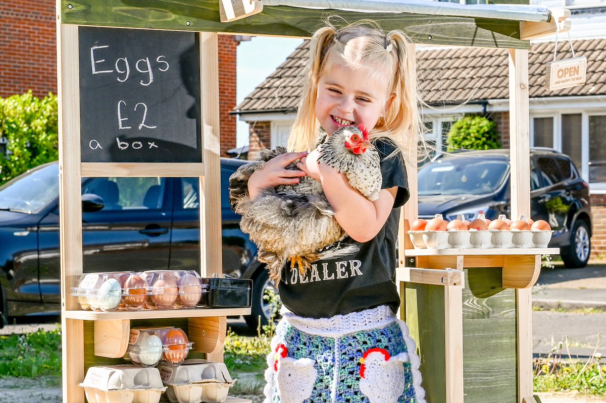 SNAPczapp's tweet image. Budget supermarket Aldi have come to the rescue and given a four-year-old girl a brand new stall where she can sell eggs from - after heartless yobs smashed hers to pieces during her birthday party. 

#chickens #eggs #pr #news #hampshire

@AldiUK @snapagency @ClarionComms