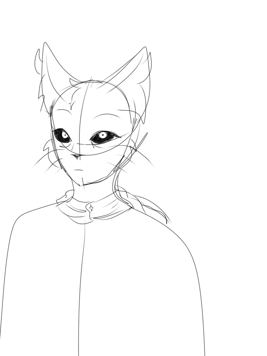 Kita_248's tweet image. BIG AHH FOREHEAD #catnap #smilingcritters #smilingcrittersau