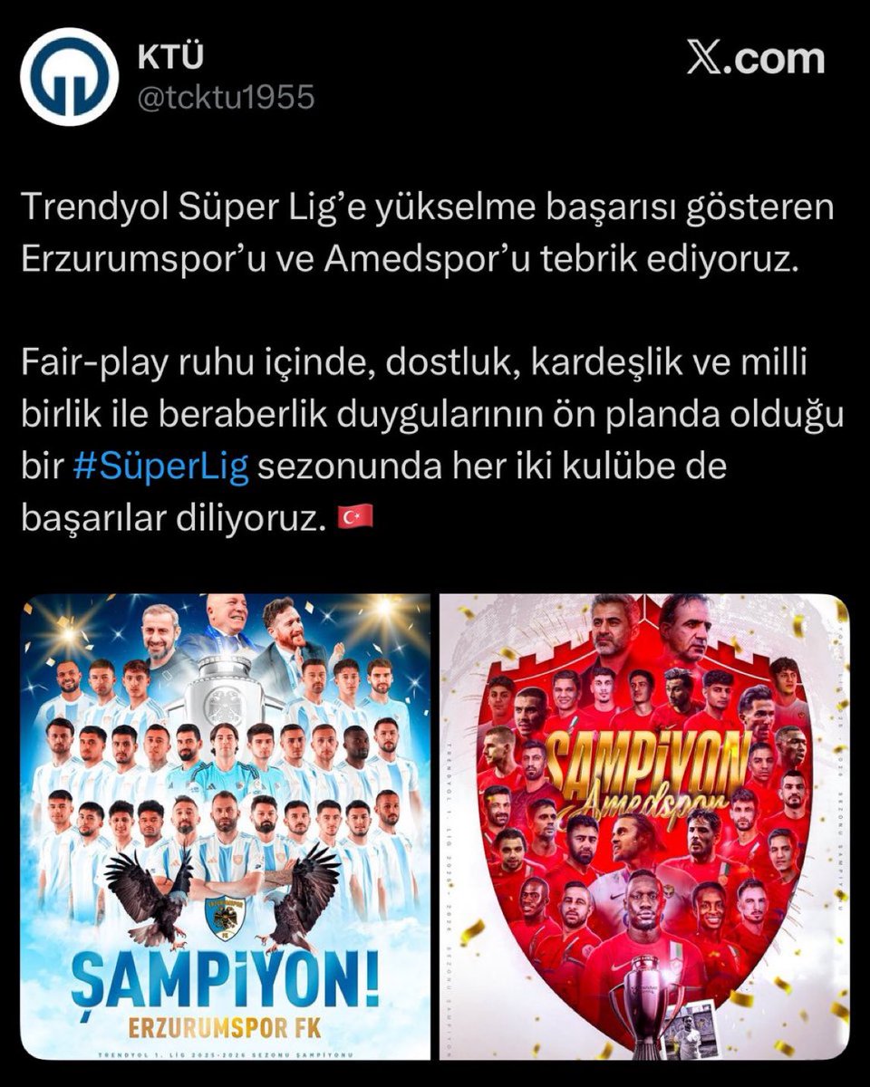 Gökçe Katun tweet media