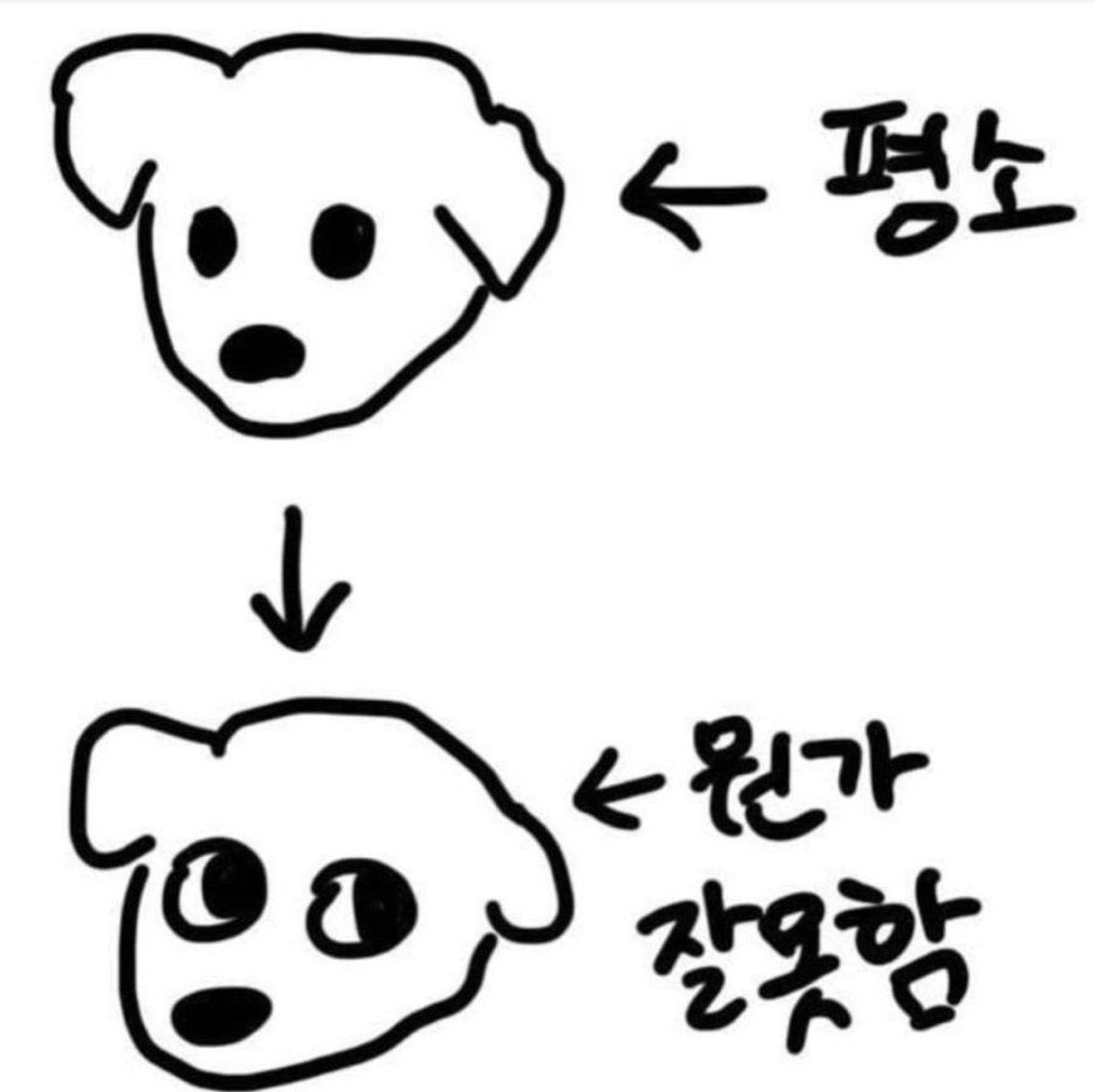 It's 꼬리 tweet media
