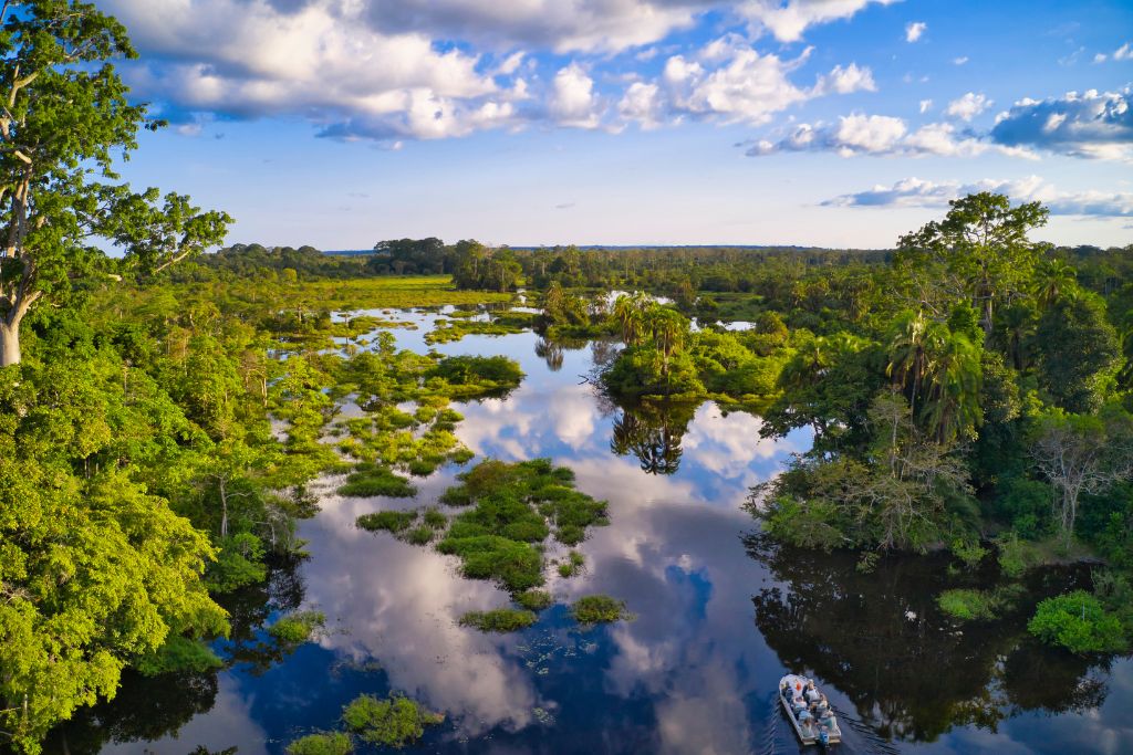 Forests are often viewed as mere resources to be exploited. However, they are vital for carbon sequestration, biodiversity, and the livelihoods of countless communities. When we cut down the last tree, we not only lose a critical carbon sink but also the habitat for species.