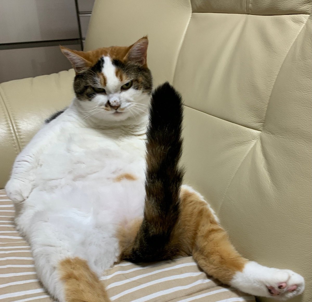 고수 tweet media