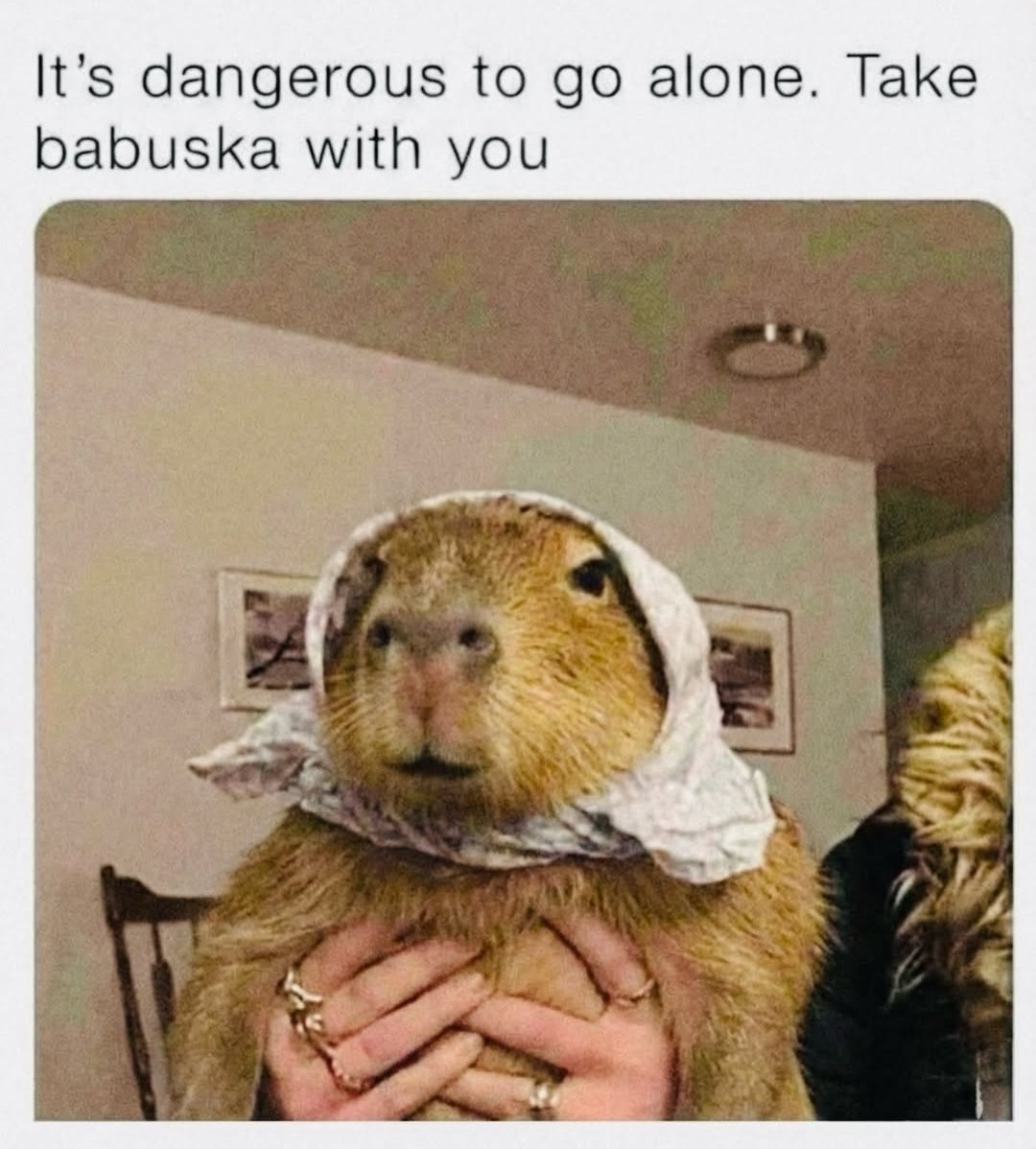 Darth_Pingu's tweet photo. #WhenToUseYourReason when it's too dangerous to go alone https://t.co/PniWCg2KOC