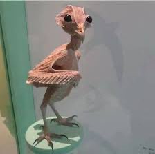 شيخه العتيبي 🐪🛢️🇸🇦 tweet media
