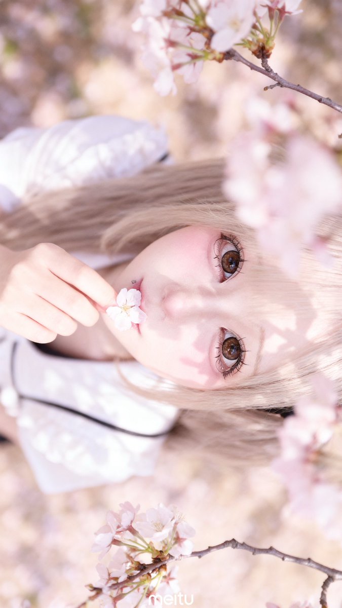 ゆめち tweet media