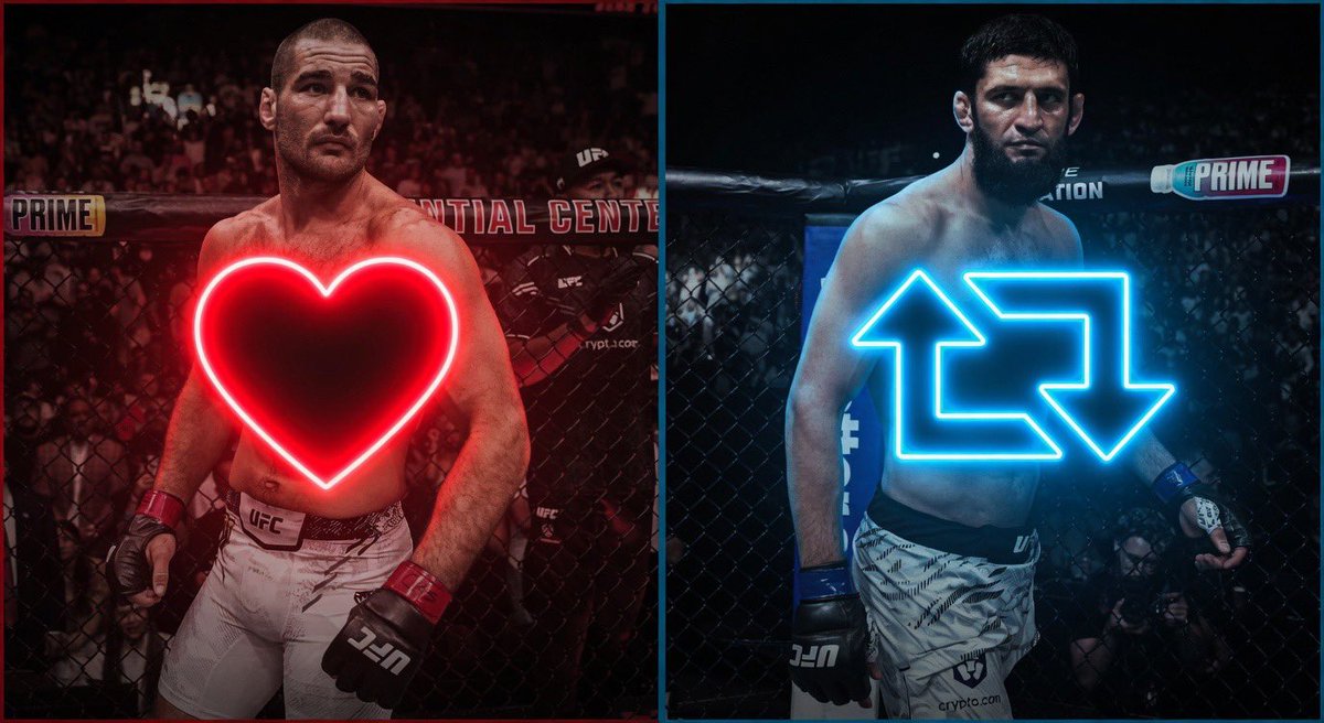 Octagon Pulse | UFC MEDIA🚨 tweet media
