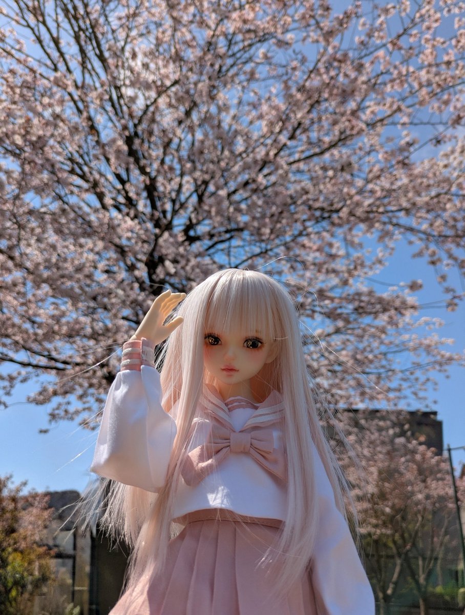 サラサ🐘🥺@ドール垢 tweet media