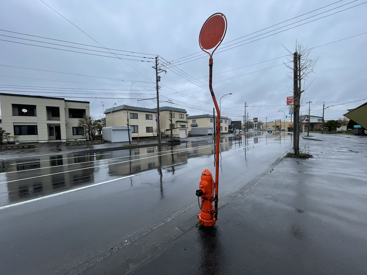 旭川旅行2026 雨にも負けず自分で自分の標識を持つ偉い地上式消火栓