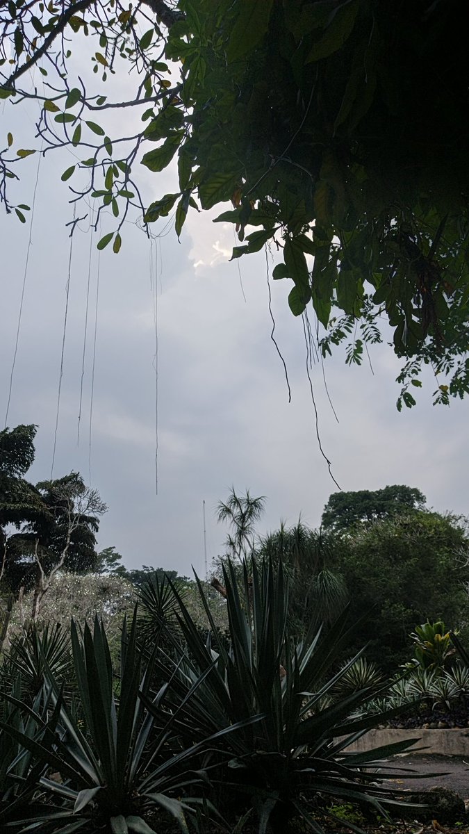 Nendeen_'s tweet photo. Suasana kali itu riuh tapi syahdu... 
Terlihat berantakan, hanya terbalut luka lama yang sedikit pulih. 
3/5/26 https://t.co/45vTKFuh6o