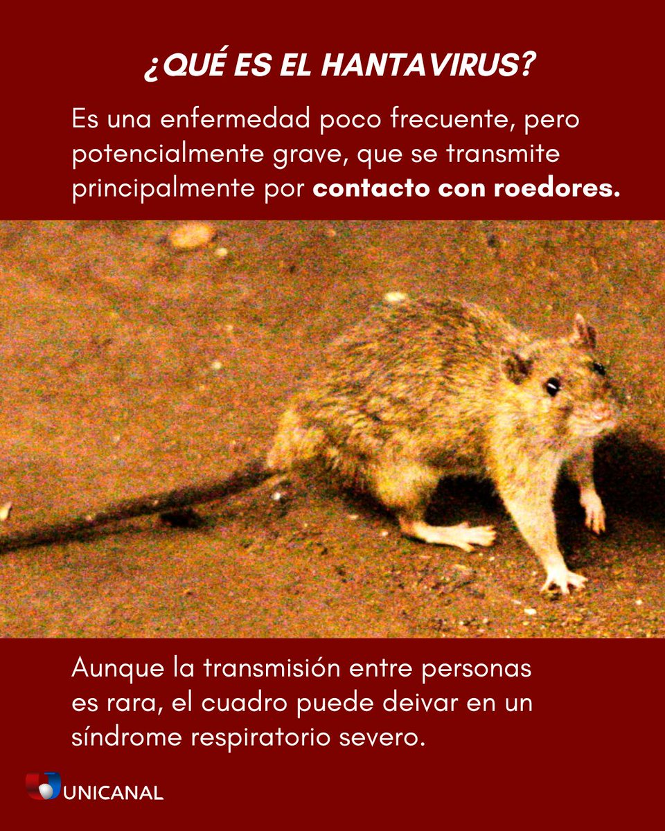ALERTA SANITARIA EN ALTA MAR 🌊🐀

⛴️ Al menos 3 personas perdieron la vida en el crucero MV Hondius durante una travesía por el Atlántico debido a un brote vinculado al hantavirus.

📍 El barco había salido de Ushuaia con destino a Cabo Verde. Sin embargo, la OMS reportó casos
