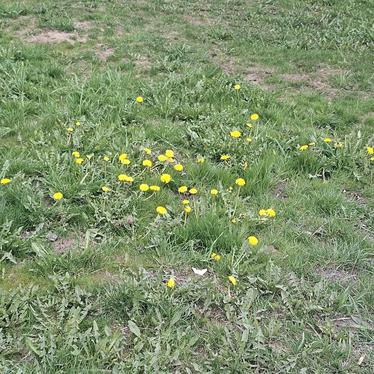 винш 🍒 tweet media