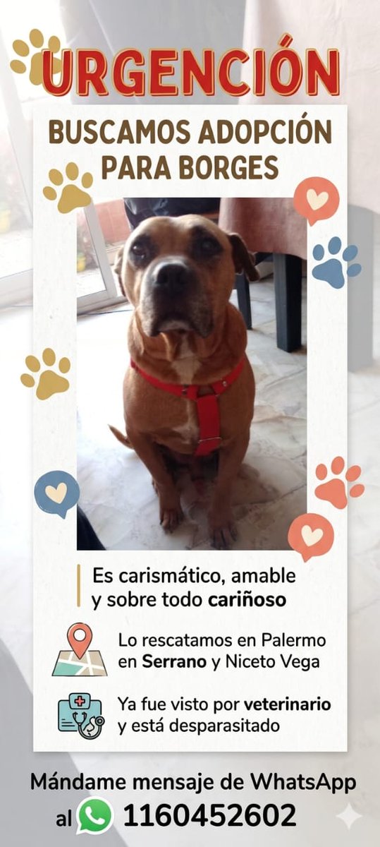 Sergio Marchi tweet media