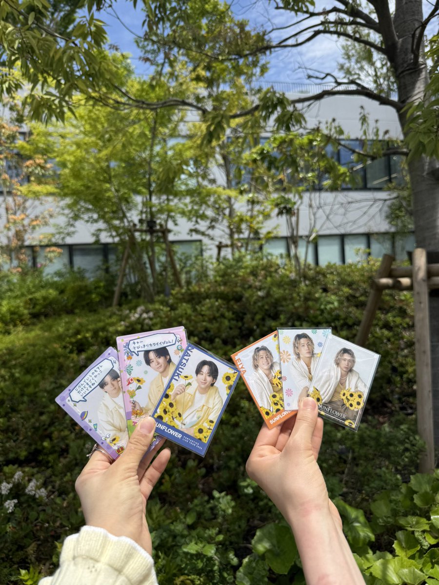 さわさく🐻‍❄️✩︎‧₊ tweet media