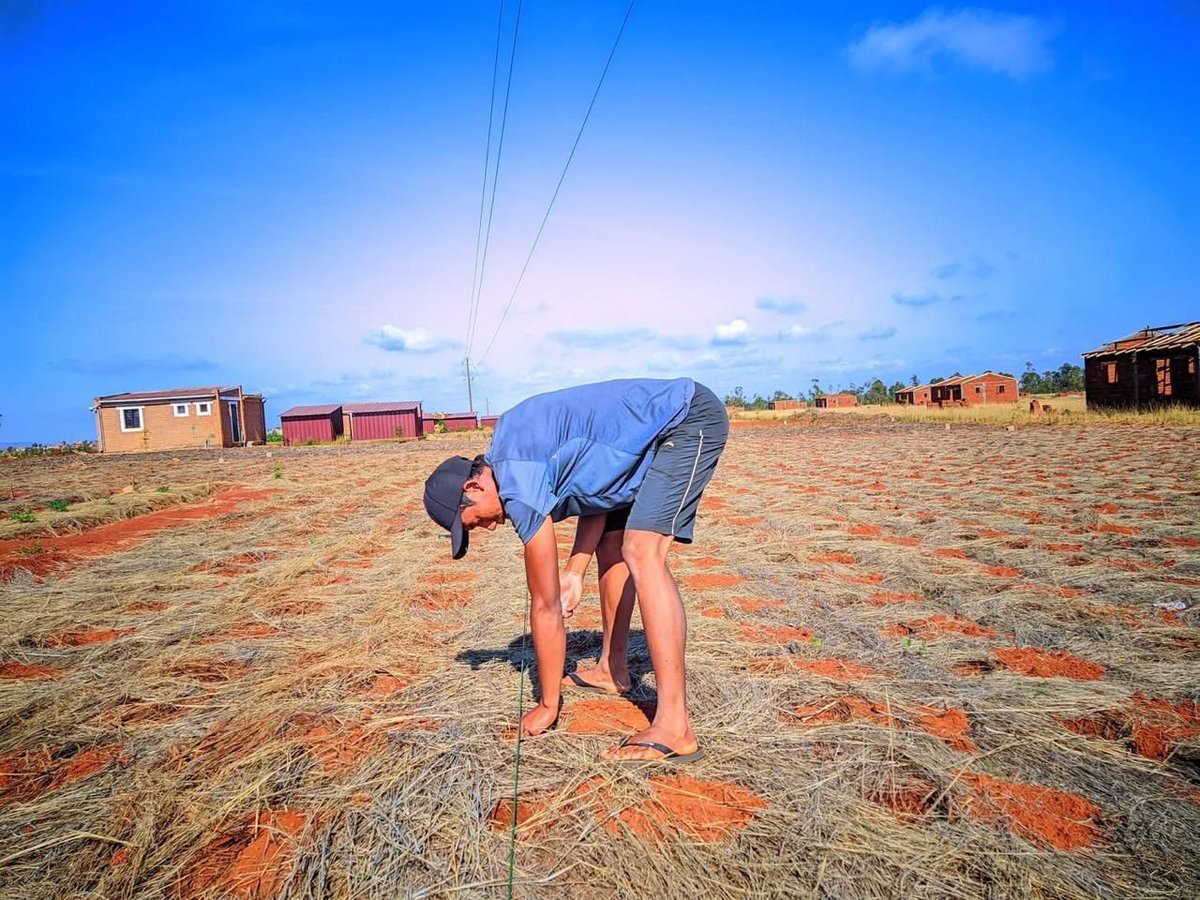 FfFarming's tweet photo. Incredibly high standards glorifying Jesus in Madagascar 🙌 🌽 👨‍🌾 . #foundationsforfarming https://t.co/UNuOF5VeoN