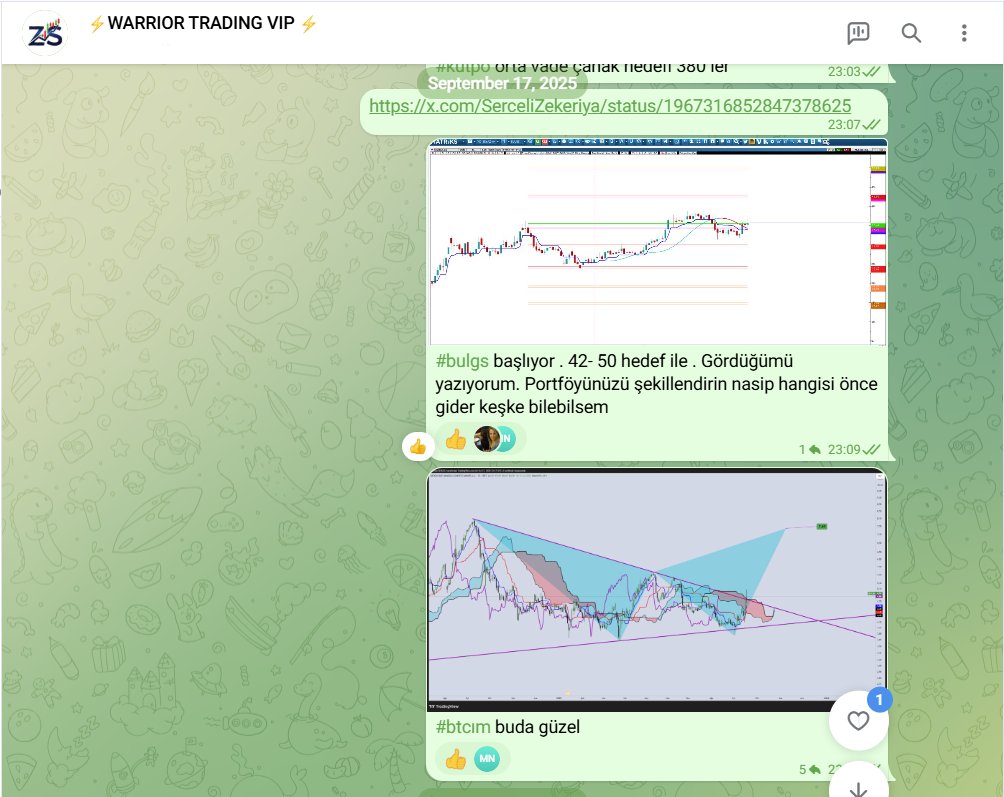 SerceliZekeriya's tweet image. 17 Eylül de yazıldılar #bulgs %55 #btcım %70 prim verdi.